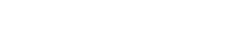 Skywall Consulting Logo